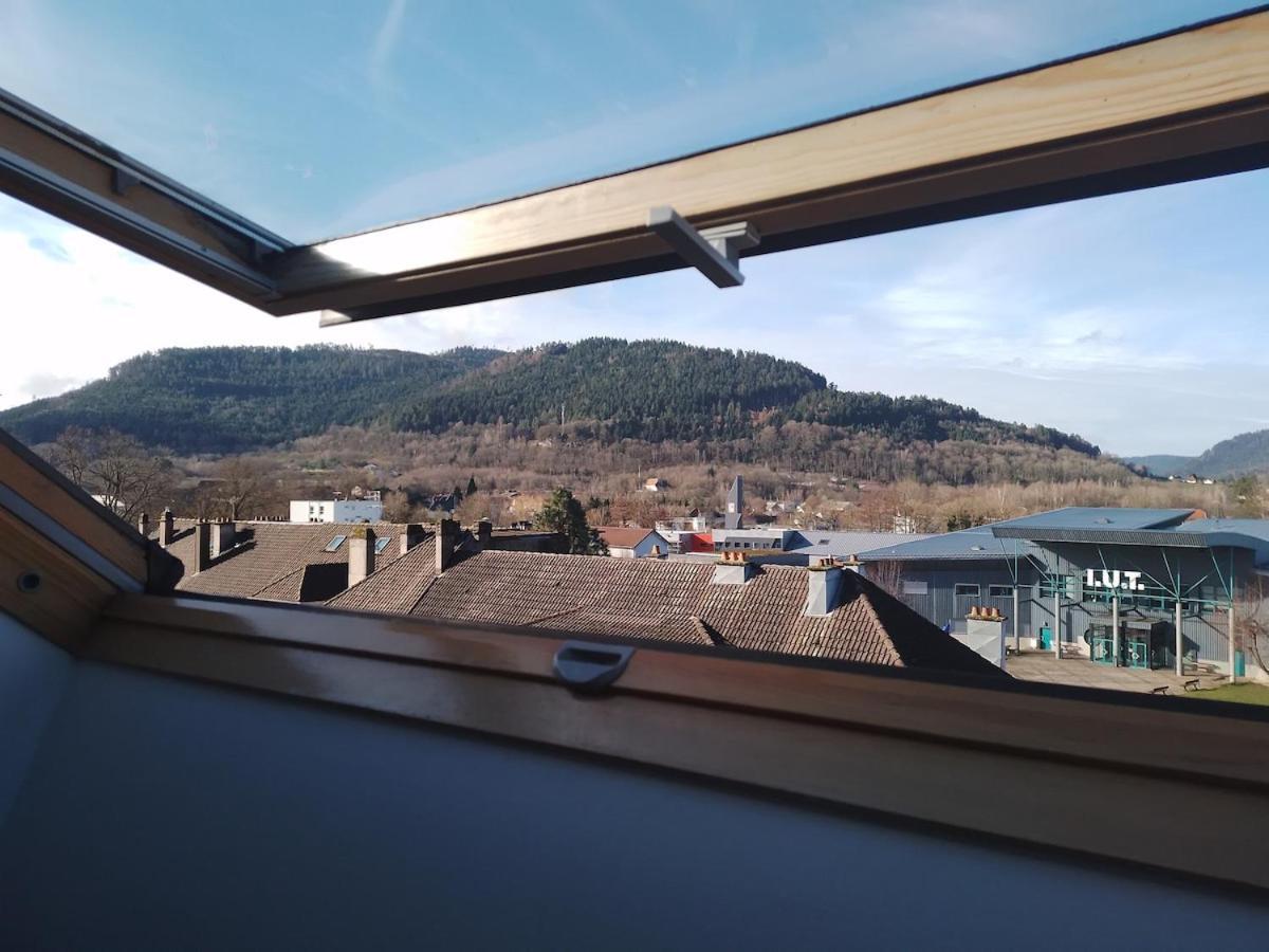 Apartment Superbe A Proximite Du Centre-ville Saint-Die-des-Vosges
