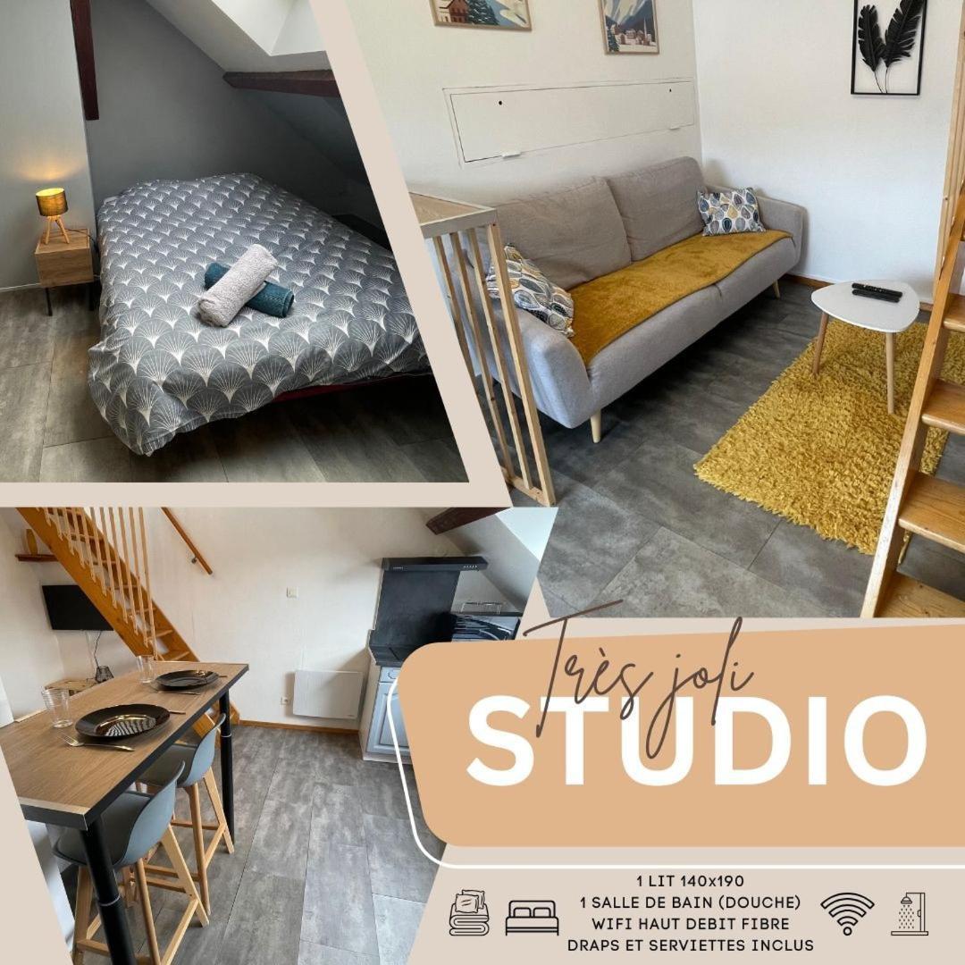 Superbe A Proximite Du Centre-ville * Saint-Die-des-Vosges